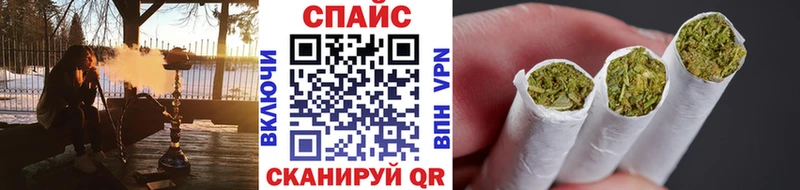 Купить где Мирный Бутират BDO