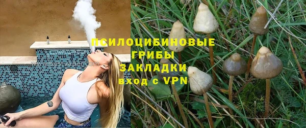 2c-b Верхний Тагил