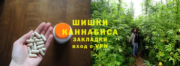 2c-b Верхний Тагил