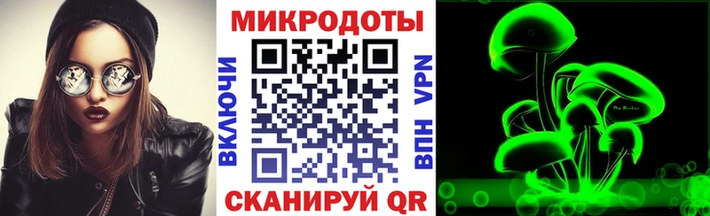 Купить Мирный Галлюциногенные грибы Psilocybe